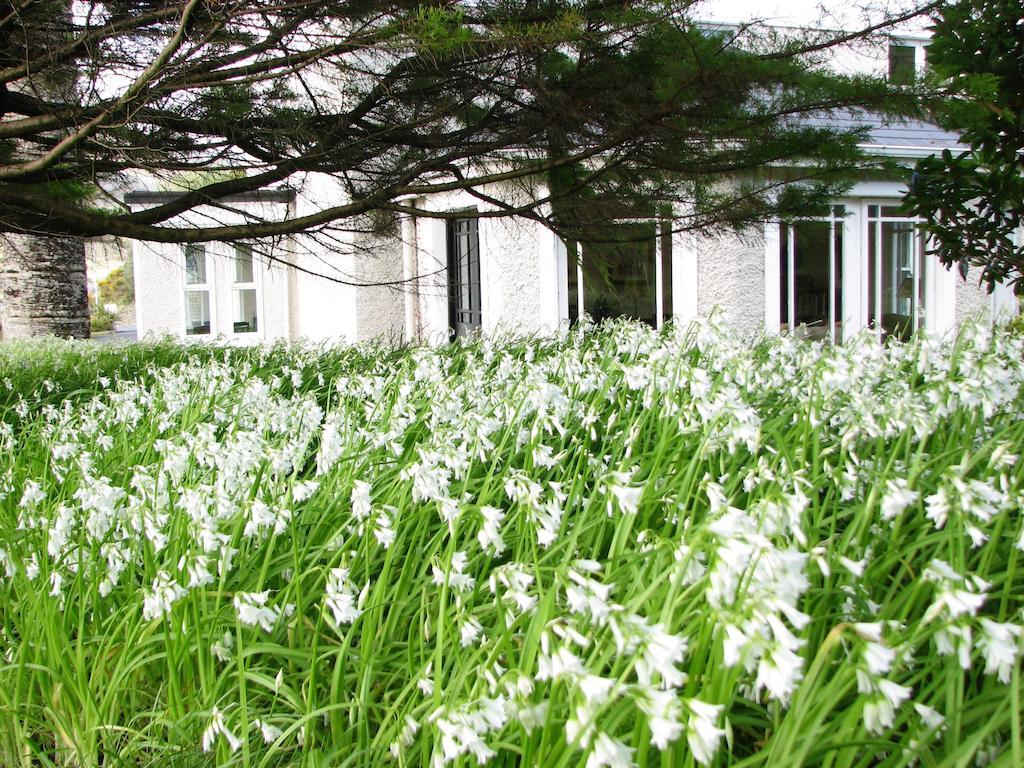 The Convent Bed & Breakfast Leenaun Dış mekan fotoğraf